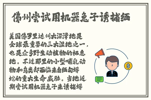 公园里的老年镖客视频大全